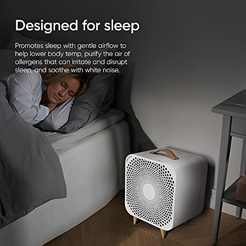 BLUEAIR Pure Fan Auto, 3-Speed HEPASilent Room Fan, Cools + Cleans, Removes Allergens Dust Pollen for Floor Table Desk and Bedrooms