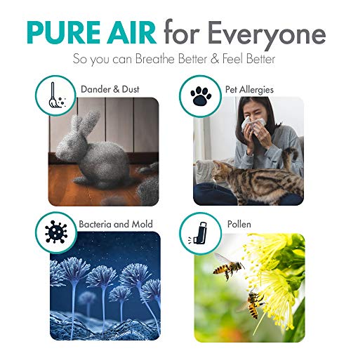 Alen FLEX Air Purifier, Quiet Air Flow for Large Rooms, 700 SqFt, Air Cleaner for Allergens, Dust, Mold, Pet Odors & B4-Pure (FL40-Pure) Air Purifier, Mold, Pet Odors, Allergies/Dust