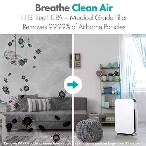 Alen BreatheSmart FLEX Air Purifier,H13 True HEPA for Large Rooms up to 700 Sqft, White & BreatheSmart 45i or Flex Air purifier, Allergies/Dust Odors/Heavy Odors, Odors/Pet Dander