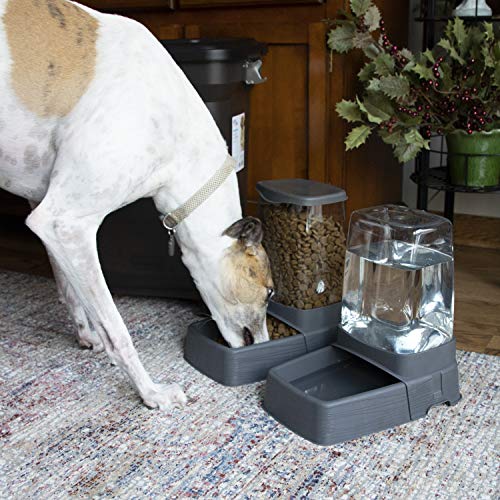 SportPet Food Bowls_Raised Stainless Steel Bowl_Gravity Feeder and Waterer