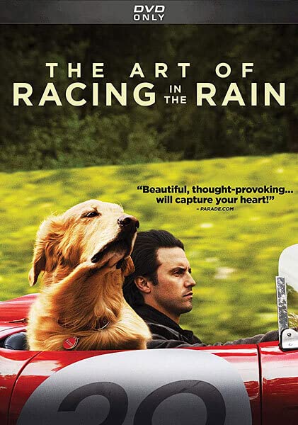 The Art of Racing in the Rain