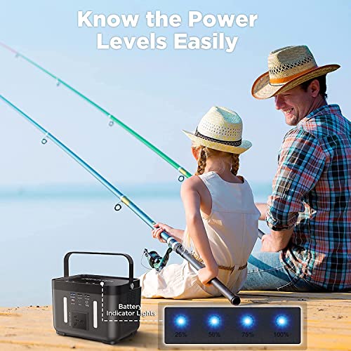 DBPOWER Portable Power Station, Peak 350W Backup Lithium Battery 250Wh 110V Pure Sine Wave AC Outlet Solar Generator Supply(Solar Panel Not Included) for Emergency Outdoor Camping Fishing Hunting CPAP