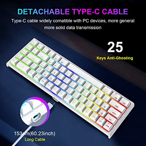 NPET K62 60% Gaming Keyboard, RGB Backlit Ultra-Compact Gaming Keyboard, Mini Wired Computer Membrane Keyboard for Windows PC Gamers(68 Keys, White)