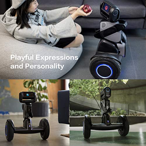 Segway Ninebot LOOMO Advanced Personal Robot and Personal Transporter, Black