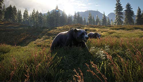 TheHunter Call of the Wild - 2019 Edition (Xbox One)