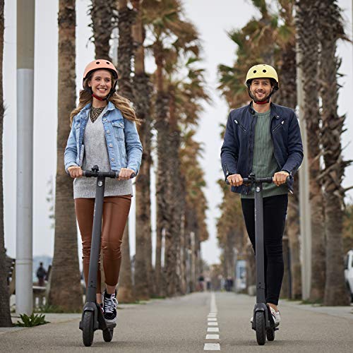 Segway Ninebot E22 Electric Kick Scooter, Lightweight and Foldable, Upgraded Motor Power, Dark Grey