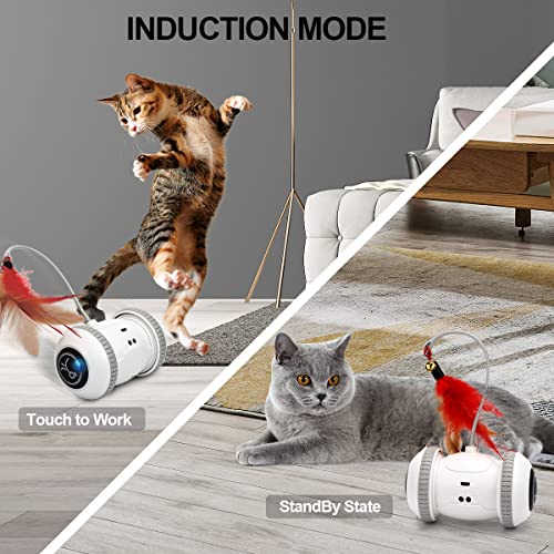 Nueplay Robotic Interactive Cat Toy, with Feathers, LED Light, 360 Degree Rotation & Sensor Mode, Rechargeable Automatic Irregular Moving Cat Toys for Indoor Cats Adult, All Floors & Carpet Available