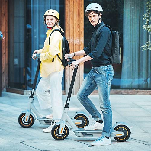 Segway Ninebot MAX Electric Kick Scooter (G30LP), Up to 25 Miles Long-range Battery, Max Speed 18.6 MPH, Lightweight and Foldable