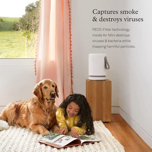 Molekule Mini and PECO Filter Bundle