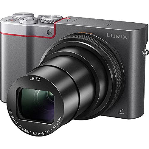 Panasonic Lumix DMC-ZS100 Digital Camera (Silver) (DMC-ZS100S) - Bundle - with 256GB Memory Card + LED Video Light + DMW-BLE9 Battery + Soft Bag + 12 Inch Flexible Tripod + Cleaning Set