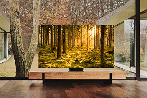 SAMSUNG 65-Inch Class Neo QLED 8K QN900B Series Mini LED Quantum HDR 48x, Infinity Screen, Dolby Atmos, Object Tracking Sound Pro, Smart TV with Alexa Built-In (QN65QN900BFXZA, 2022 Model)