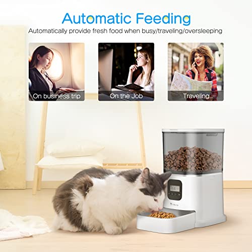 isYoung Automatic Cat Feeder, Smart Pet Food Dispenser for Cats Dogs - Voice Recorder, Portion Control 1-4 Meals Per Day, Dual Power Supply & Clog-Free Design with Stainless Steel Bowl (6L)
