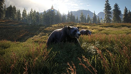 theHunter: Call of the Wild - Xbox One