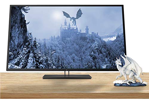 HP Z43 42.5 Inch 4K UHD 3840 x 2160 LED Backlit Gaming Monitor with IPS, Vesa Compatible, Anti-Glare, Tilt and Swivel, Black Pearl (USB-C, HDMI and DisplayPort)