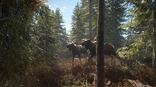 theHunter: Call of the Wild - Xbox One