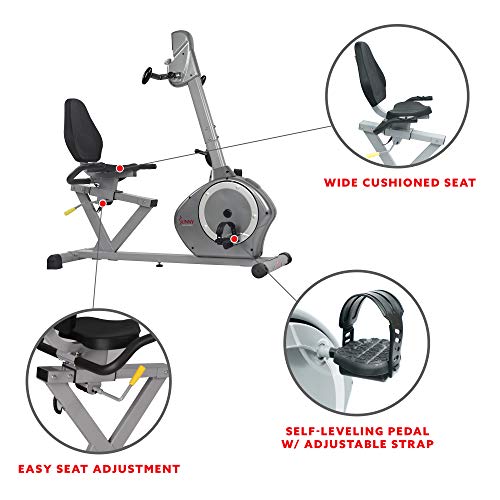 Sunny Health & Fitness Recumbent Bike SF-RB4631 with Arm Exerciser, 350lb,Gray