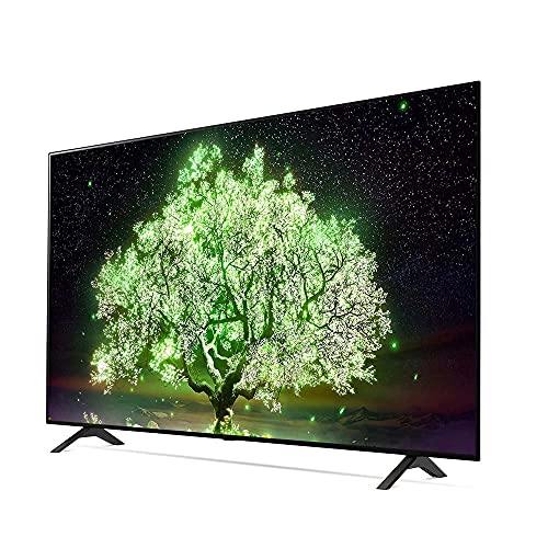 LG OLED48A1PUA 48 Inch A1 Series 4K HDR Smart TV with AI ThinQ Bundle with LG SN5Y 2.1 Channel Hi-Res Audio Sound Bar with DTS Virtual:X and Taskrabbit Installation Service