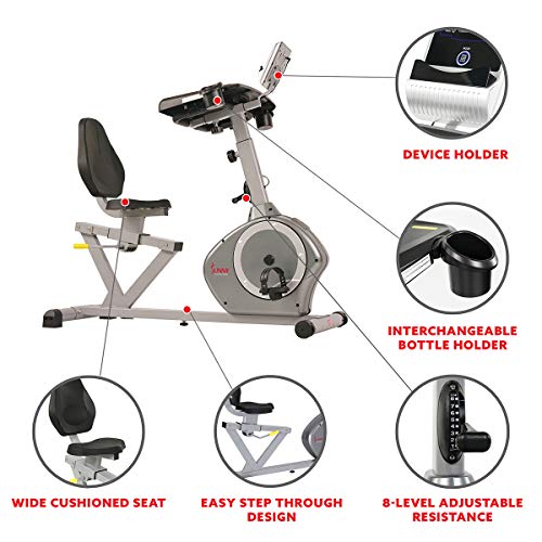 Sunny Health & Fitness Magnetic Recumbent Desk Exercise Bike, 350lb High Weight Capacity, Monitor - SF-RBD4703,Gray