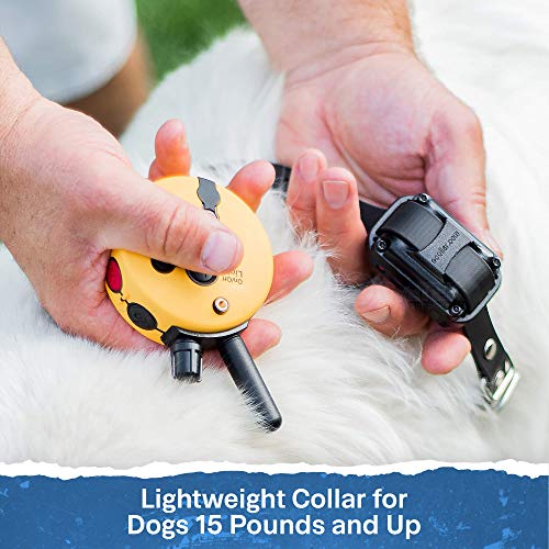 E-Collar - ET-300 - 1/2 Mile Remote Waterproof Trainer Mini Educator Remote Training Collar - 100 Training Levels Plus Vibration and Sound - Includes PetsTEK Dog Training Clicker