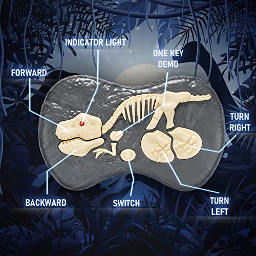 Remote Control Dinosaur Toy for Kids 3-5 5-7 8-12, Electric Robot Dinosaur for Boy Gift Imitates with Lights and Sounds, Walking Roaring Simulation Velociraptor Rechargeable