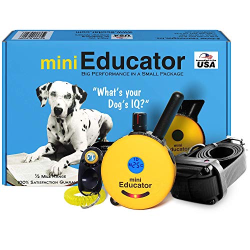 E-Collar - ET-300 - 1/2 Mile Remote Waterproof Trainer Mini Educator Remote Training Collar - 100 Training Levels Plus Vibration and Sound - Includes PetsTEK Dog Training Clicker