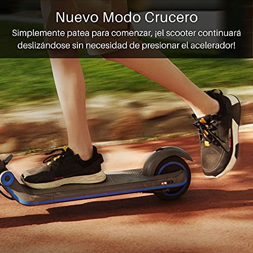 Segway Ninebot eKickScooter ZING E10 Electric Kick Scooter for Kids and Teens, Lightweight and Foldable, New Cruise Mode, Dark Grey