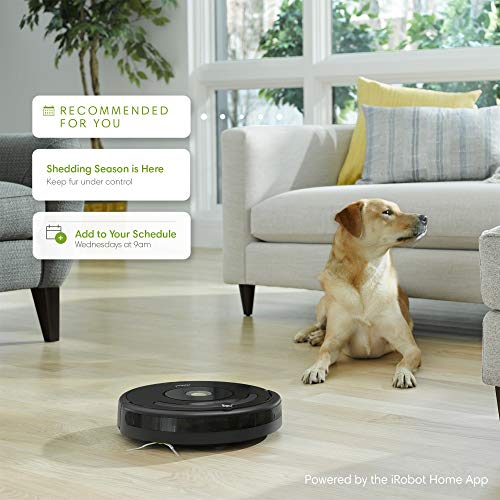 iRobot Roomba 675 Robot Vacuum-Wi-Fi Connectivity, Compatible with Alexa, Good for Pet Hair, Carpets, Hard Floors, Self-Charging (Renewed)