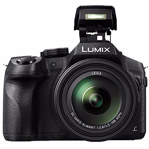 Panasonic Lumix DMC-FZ300 Digital Camera + Extra Battery + Charger + 64GB