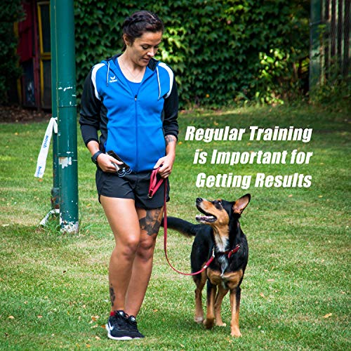 BarxBuddy Anti Barking Control Device (The Orignal Bark Training Tool) Ultrasonic Sound with LED Lights and Strap - Safe for All Dogs of All Breeds & Ages