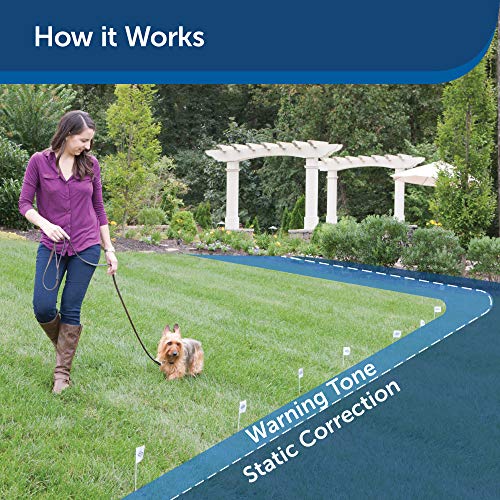 PetSafe Rechargeable In-Ground Pet Fence for Dogs and Cats over 5lb - from the Parent Company of INVISIBLE FENCE Brand - Waterproof Collar with Tone and Static Correction – Multiple Wire Gauge Options
