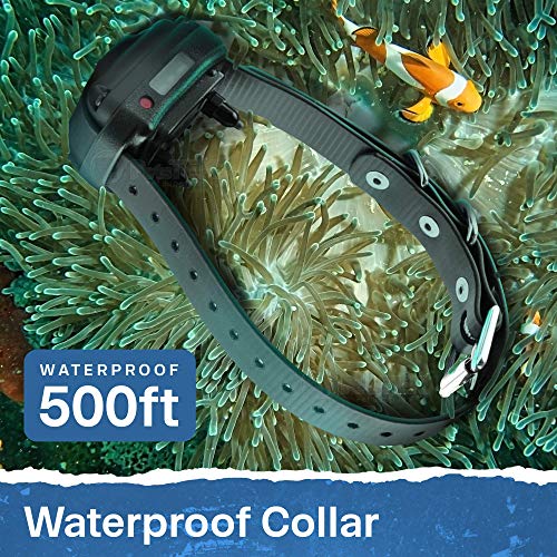 E-Collar - ET-300 - 1/2 Mile Remote Waterproof Trainer Mini Educator Remote Training Collar - 100 Training Levels Plus Vibration and Sound - Includes PetsTEK Dog Training Clicker