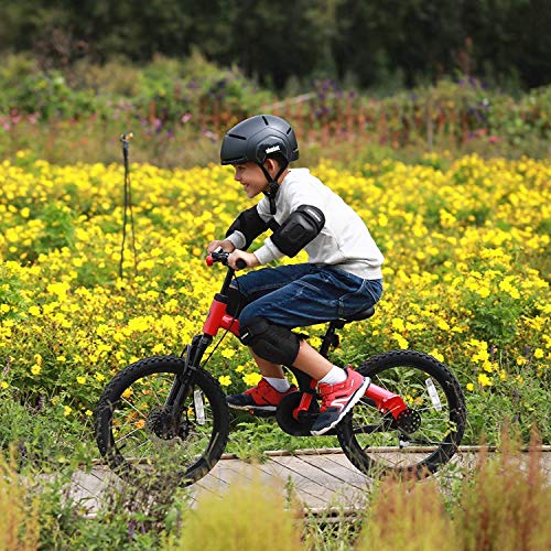 Segway Ninebot Kid’s Bike for Boys and Girls, 18 inch with Kickstand, Red