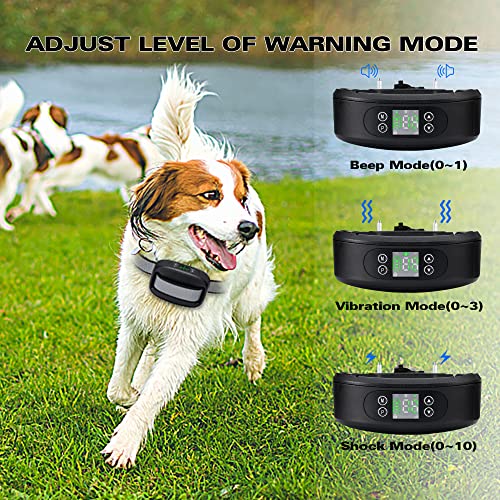 WIEZ GPS Wireless Dog Fence, Electric Dog Fence with GPS, Range 100-3300 ft, Adjustable Warning Strength, Rechargeable, Pet Containment System, Suitable for All Medium and Large Dogs(2 Collars)
