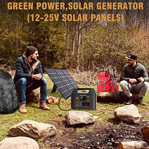 EnginStar Portable Power Station, 300W 298Wh Power Bank with 110V Pure Sine Wave AC Outlet for Outdoors Camping Travel Hunting and Emergency, 80000mAh Backup Battery Power Supply for CPAP Machine